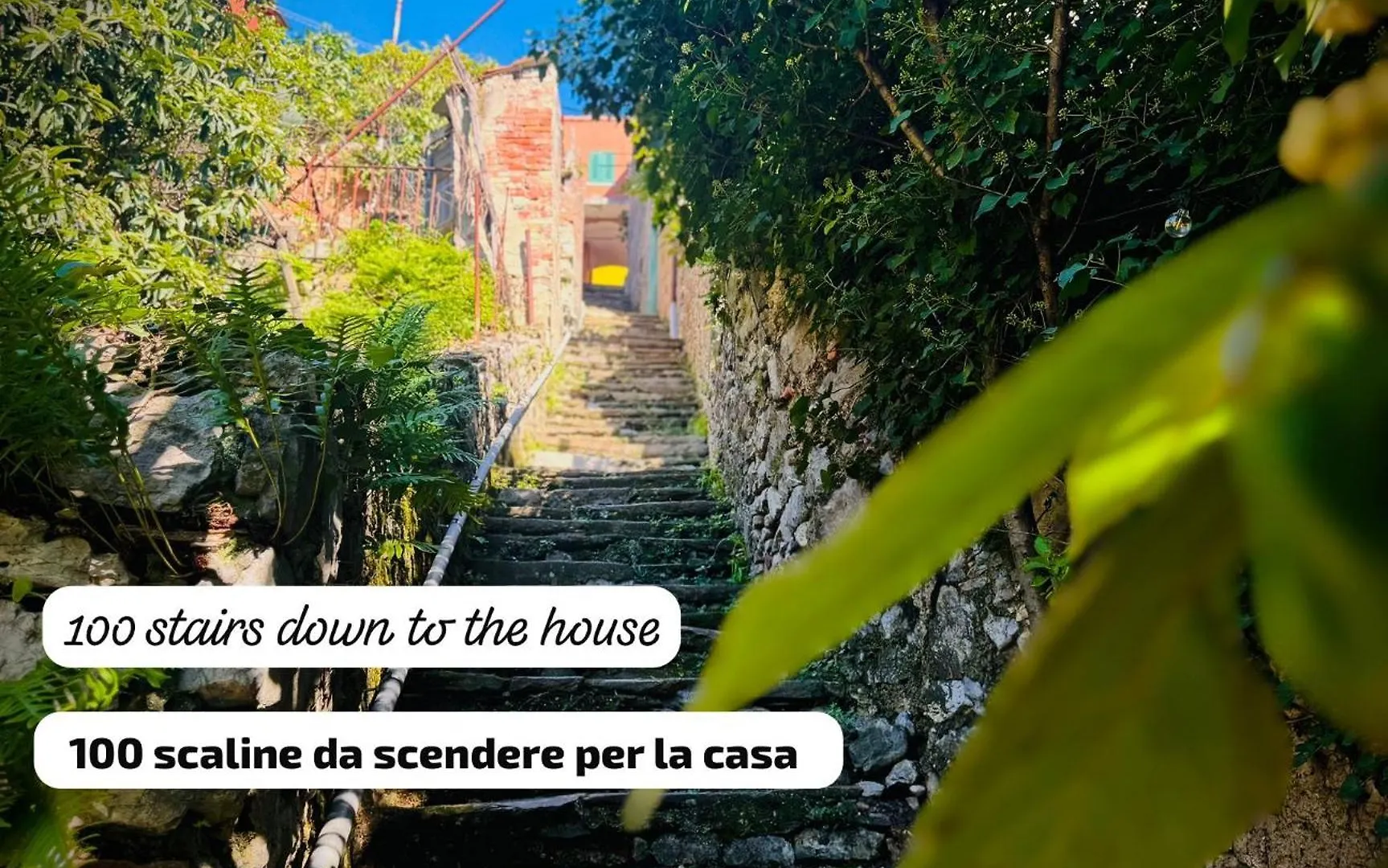 Casa Olive 53 Monte Villa La Spezia Holiday home